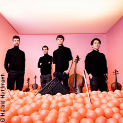 Vision String Quartet