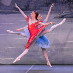 Dornröschen - Der beste Ballett- Klassiker aller Zeiten