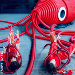 Krake - Dschungel Wien