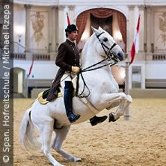 Vorführungen - Spanische Hofreitschule