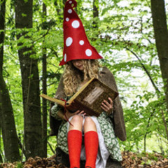 St. Pauler Waldgeschichten - Vivaldi der Waldwal sucht die Liebe