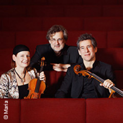 Weihnachtskonzert auf Schloss Halbturn - Trio Van Beethoven