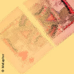 Familienvorstellung: Die Räuber