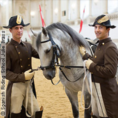 Morgenarbeit mit Musik 2025 - spanische Hofreitschule