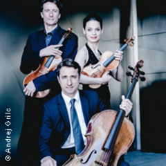 Kreisler Trio Wien - Klassiker