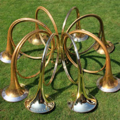 Zur Rettung der Blasmusik