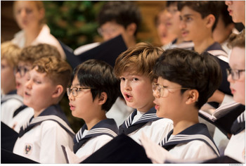© Lukas Beck Die Wiener Sängerknaben in weißen Matrosenuniformen mit blauen Kragen singen konzentriert. Die Kinder halten Notenblätter in der Hand, einige tragen Brillen, und der Hintergrund ist leicht verschwommen.