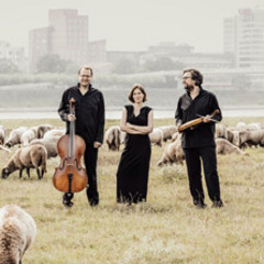 Weihnachtskonzert - Villa Falkenhorst