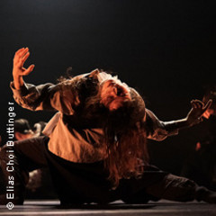 Institute of Dance Arts der Bruckner Uni