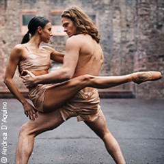 Schwanensee mit dem Festival Orchester