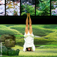 Die Vegetarierin - Akademietheater Wien