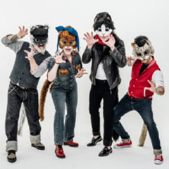 Kool Katz