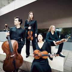 Motus Quartett - KammermusiKlassik