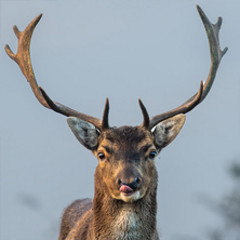 ERBEN – Wer kriegt das Haus?
