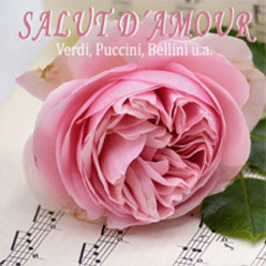 Salut D`Amour - Verdi, Puccini, Bellini u.a