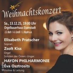 14. Salon Haydn im Orgelbauerhaus